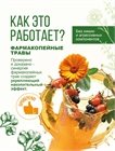 Фото энергетического напитка Травяной напиток Стимул Жизни система повышения иммунитета, Сила Энергии